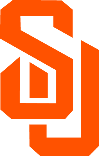 Syracuse Orange 2004-2005 Primary Logo DIY iron on transfer (heat transfer)